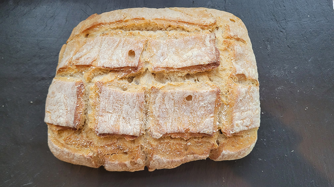Sarraceno Masa Madre